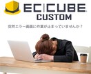 EC-CUBEのエラー改善いたします EC-CUBE4でエラー画面が表示された問題を改善致します イメージ1