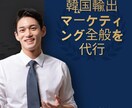 韓国月経構築 韓国輸出マーケティング全般を代行ます 韓国のブログ/SNSの構築とマーケティングを代行します イメージ1