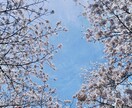 話し相手になります 愚痴聞きます 今日もお疲れ様です(o^^o)心をほぐしていきましょう。 イメージ1