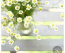 ママちゃんがお聞きいたします 不安なら途中で切ってね！秘密厳守⭐︎ゆるんでみませんか？ イメージ7