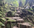 最短距離でなりたい自分に！コーチングで実現できます 現状を変えていくための気づきを発掘！ イメージ1