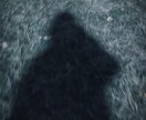 Lightroomでエモい写真編集できます SNSのアイコンや背景画、投稿画像にこだわりたい方は是非！ イメージ4