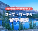 カナダのコープ留学/ワーホリのご相談に乗ります 現地での生活、語学力、仕事探しなどの不安に対するアドバイス イメージ1