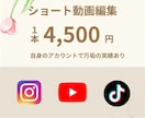 8/31まで3,500円！ショート動画を作成します 豊富にSNS動画を作成しております！ イメージ1