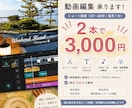 おしゃれなmini vlog動画を作成します 思い出や日常の動画をおしゃれなショート動画に仕上げます イメージ1