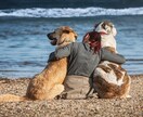 ペットの気持ちをお伝えします 愛しい「うちの子」との生活を充実のために イメージ1