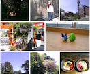 エモさ、推し活、SNS向けに仕上げます ヴィンテージデジカメ＆iPhoneで出張撮影します。 イメージ3