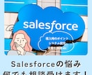 Salesforce導入・運用相談承ります 導入後も使い続けられる現場主導のSFA支援を提供します イメージ1