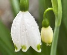 今あなたに必要なメッセージを届けます あなたの力になる「祈りの言葉」もお伝えします！ イメージ2