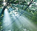 本当は〇〇だったのに・・そんなお話お聴きします 公認心理師☘自分を後回しにしてきた人☘ボイスサンプル聞いてね イメージ6