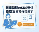 起業初期のSNS発信を実践まで仕上げます 心理学で売り込まず集客!投稿文まで作ります イメージ1