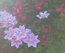 恋愛のお悩み聞きます 恋愛のモヤモヤ、友達には話しにくいこと等、どうぞ イメージ1