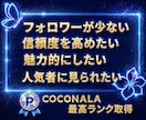 X・旧Twitterの外国人フォロワーを増加します 【ココナラNo.1長期保証付き！】Xフォロワー1000増加！ イメージ2