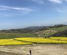 高校の勉強手助けします 英語、数学、化学、物理の解答作成、解説を行います。 イメージ1