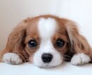 一息ついて♡今抱えている負担にそっと寄り添います 雑談/愚痴/悩み/恋愛/過去/眠れない/心の解放のお手伝い イメージ9