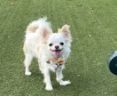 不登校、愚痴、その他お悩みお聞きします 一緒にお話しして気持ちを楽にしましょ♪ イメージ1