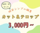 格安シンプル編集|カット&テロップのみ承ります BGM・SEなし、シンプル編集で低価格を実現 イメージ1
