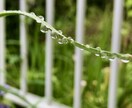 うつで悩んでいる心の悩みお聞きします 経験したからこそわかる心の痛み イメージ3