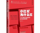 中国版インスタ「小紅書」のアカウントの制作します 集客しやすいIPの設定も手伝い致します！ イメージ2