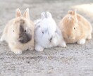 ココナラ万相談受け付けます 出品1ヶ月で7件達成！マイペース出品で目指せシルバーランク イメージ8