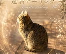 大切なペットちゃんと飼い主様の心と体を整えます ペットの介護などをされている飼い主様へも癒し遠隔ヒーリング イメージ1