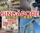 シンガポールの現地調査、写真撮影いたします 起業を考えている方など、詳しく現地の様子が知りたい方へ イメージ1