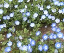 お話したいこと、きちんとお聴きします 電話クーポン分のみもOKです(^^♪ イメージ1