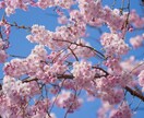 愚痴聞きお話うかがいます 心のモヤモヤ吐き出して元気に！ イメージ1