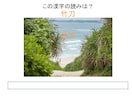 エクセルで自作クイズを出題できます 暗記にも使えるシンプルなクイズシステム イメージ2