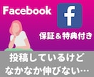 Facebookの日本人フォロワー集客します ◎補償期間あり！ぜひ内容をご確認ください！ イメージ3