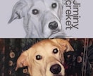 犬や猫などペットの肖像画を描きます ペットの似顔絵、イラスト、オーダーメイド イメージ3