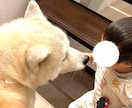 ペットと家族の日常を自然に撮影します スマホだからこそ撮れる、自然な家族の時間を残します イメージ2