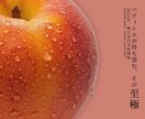 高級感ある食品バナー制作　売れる構成でします 農業経験を活かしたリアルな訴求で、購入につながるデザイン イメージ3