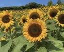 ちょっとした素敵な恋愛話しお聞きします あなたの恋愛話し自慢話しなど性別問わずなんでもお聞きします イメージ9