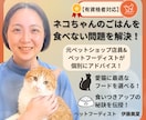 有資格者|愛猫のごはん食べない問題解決します 元ペットショップ店員×ペットフーディストが個別アドバイス！ イメージ1