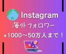 Instagram海外フォロワー増やします 安価で増やしたい方！国際色を入れたい方！ イメージ1