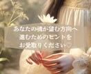 今、あなたに降りているメッセージをお伝えします 親子、嫁姑、夫婦、学校、職場などオラクルカードで読み解きます イメージ5