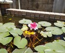 熊本地震で不安な夜を過ごす方、お話を伺います 収益寄付。待機中でしたらいつでも連絡可能（被災地域限定） イメージ3