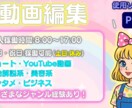 動画編集スピード納品・修正も柔軟に対応します カット・テロップ・SEなそYouTube向け編集に幅広く対応 イメージ1