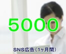 SNS広告５０００円で１ヶ月間、毎日拡散します リニューアルのため、ほかのメニューでお願いいたします！ イメージ1