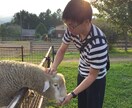 あなたの“シンドイ”を“マダマシ”にします 30年分の人生経験と、心理学・宗教学・哲学でアプローチ イメージ2
