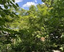 頑張っているあなたの本当の気持ちに寄り添います “大丈夫なふり”を、少し休めませんか？ イメージ2