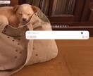 ChatGPT画面を可愛くカスタマイズします あなただけのChatGPT画面に♪見た目を自由に装飾します！ イメージ2