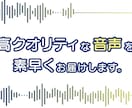 男性ボイスのキャラクターやナレーション承ります 大人の落ち着いた声からパワフルな声までなんでもおまかせ！ イメージ3