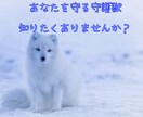 あなたを守る守護獣をお教えします 守護獣と仲良くして、その個性をうまく活かしましょう。 イメージ1