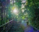 必要な素材撮影等行います 小回りの効くサービスを心がけます！ イメージ3