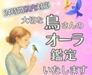 鳥さんの魂と心をオーラ鑑定いたします 小さなサインを見逃さず優しく読み解きます イメージ4
