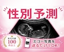 詳細版★即納！妊娠初期、エコー写真で性別予測します 6週目〜OK◎赤ちゃんの性別をベビーナブ、外性器で見ます イメージ1