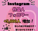 破格でInstagramフォロワー増加します 安心安全高品質！！減少保証あり！！ イメージ1