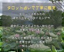 運命の人との出会いをタロットで導きます 運命の出会いを引き寄せ、あなたの未来を輝かせます！ イメージ5